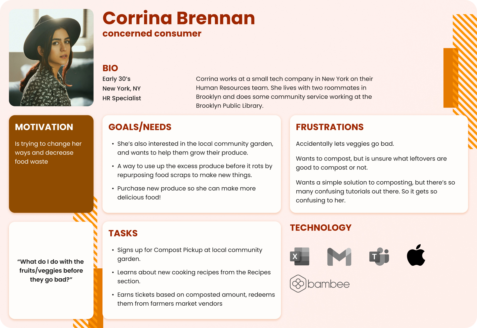 Description of a user persona for an ideal user