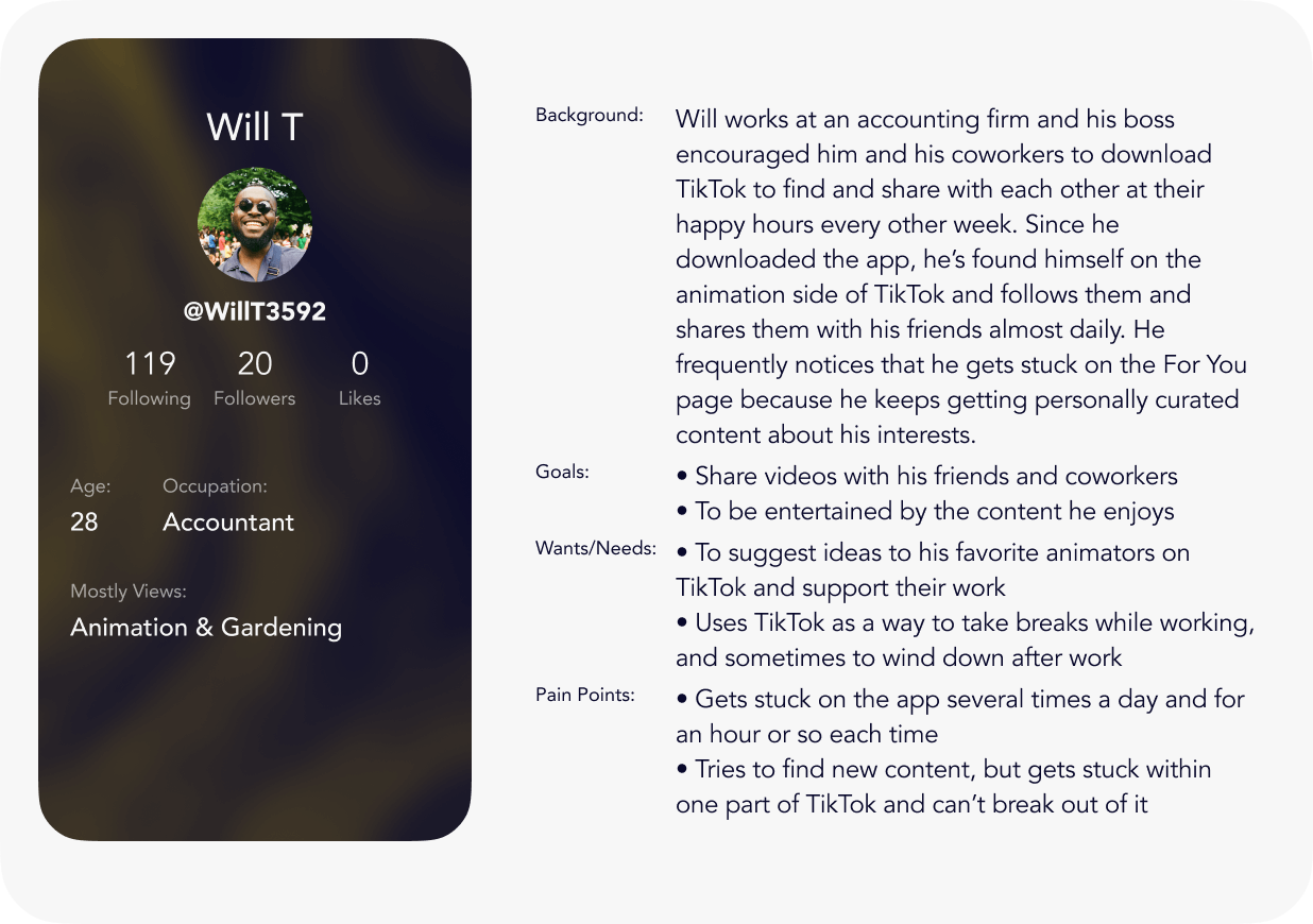Description of a user persona for a viewer on TikTok