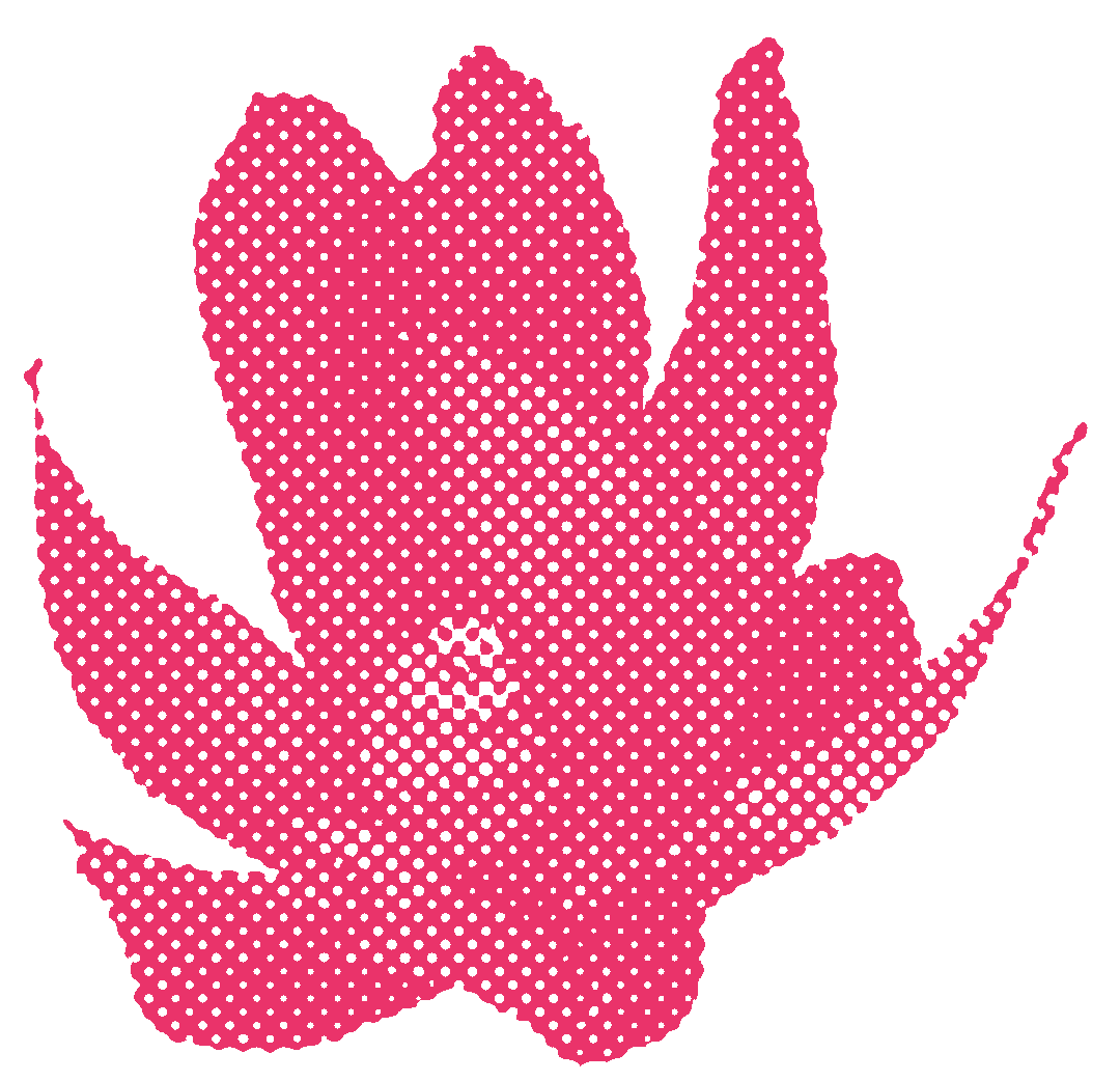 a pink flower with a halftone pattern